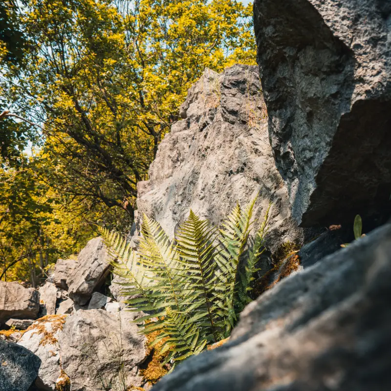 Klettergebiet Hrádok