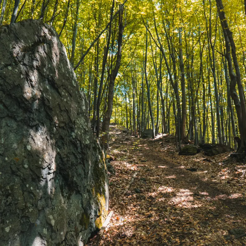 Klettergebiet Hrádok
