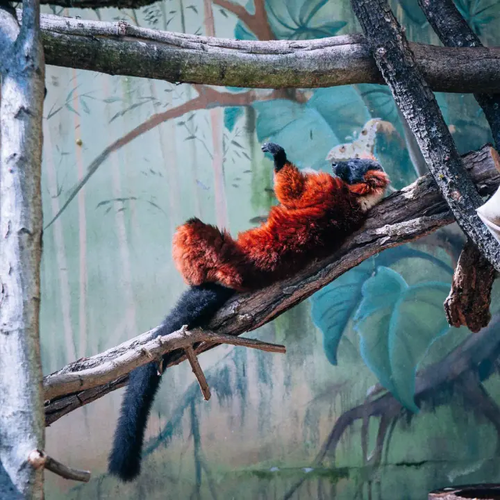 ZOO Bojnice