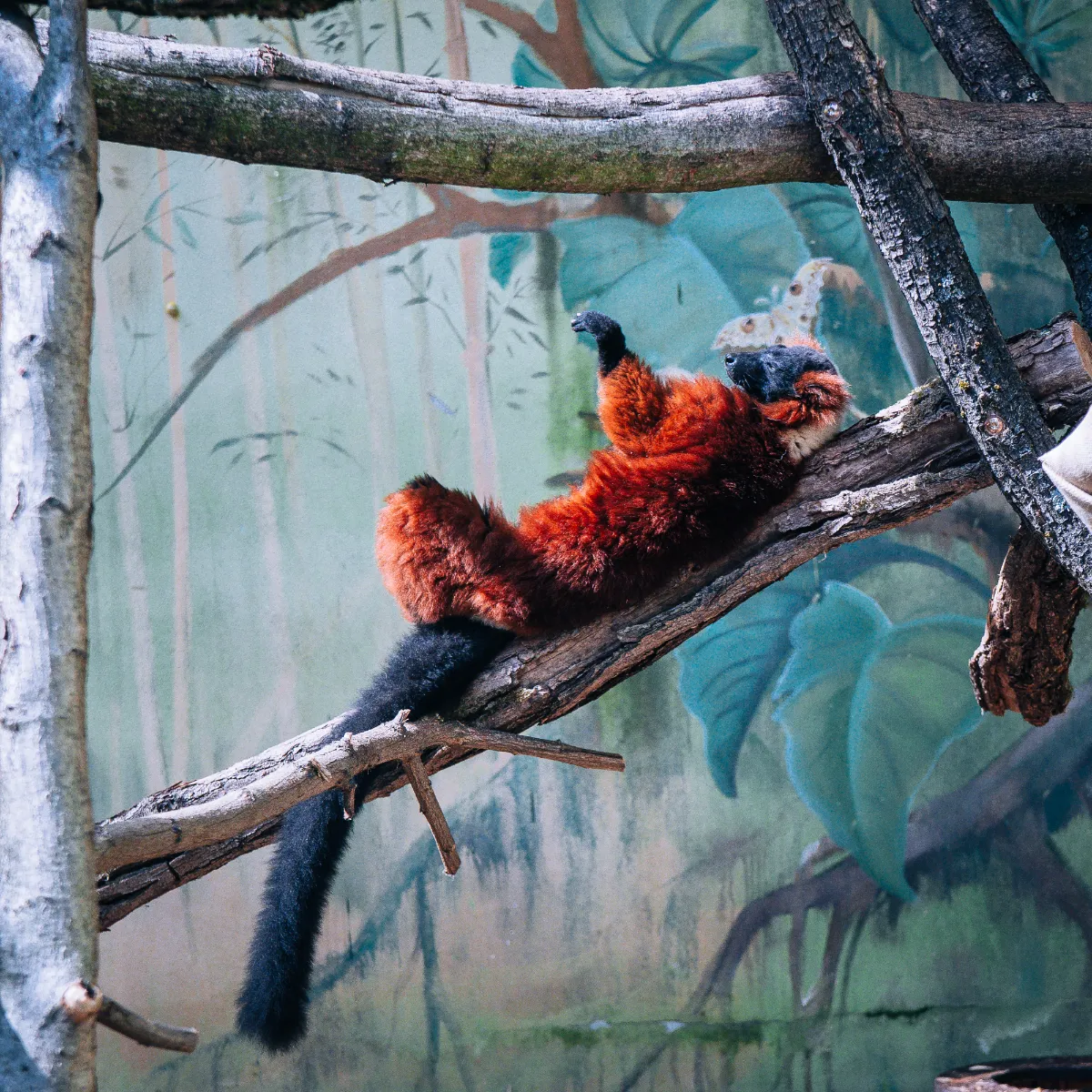 Narodowy Ogród Zoologiczny Bojnice