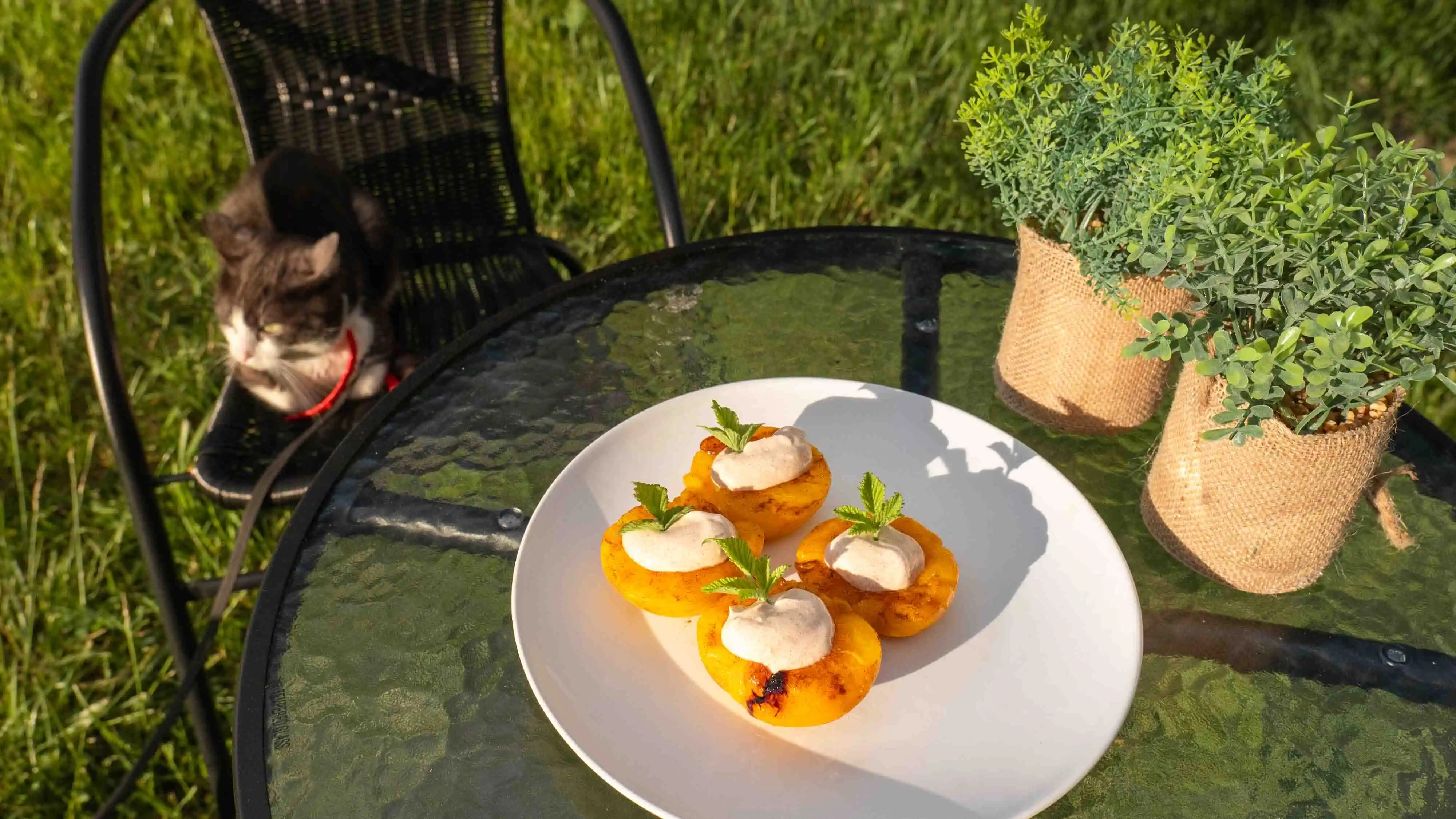 Grillowane brzoskwinie — przepis wideo